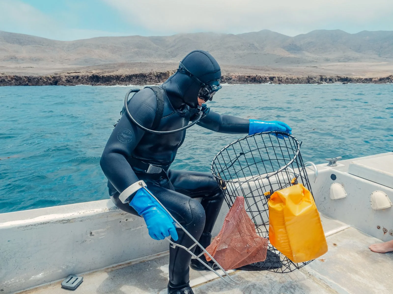Buzos preparando el equipo y la red a bordo de una embarcación de trabajo junto a una costa rocosa